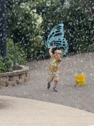 IMG 0468 1771908164 Bubble Machine